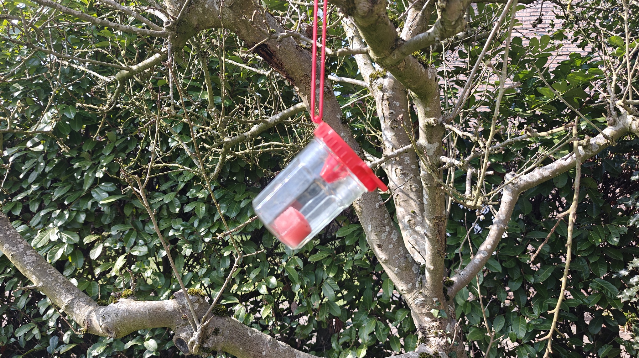 Detail 3D-print PETG